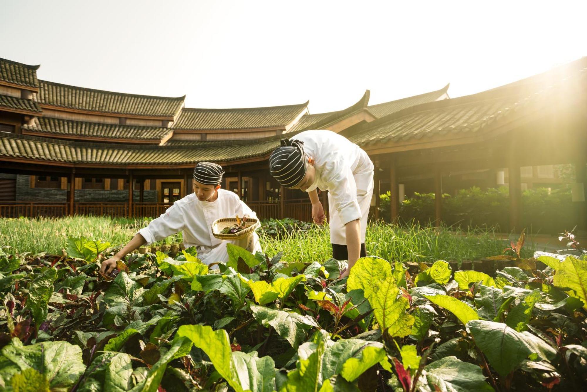 Six Senses Qing Cheng Mountain Hotel Chengdu Exterior photo